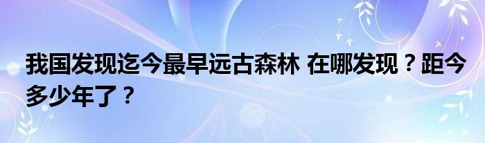 我国发现迄今最早远古森林 在哪发现？距今多少年了？