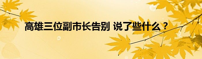 高雄三位副市长告别 说了些什么？