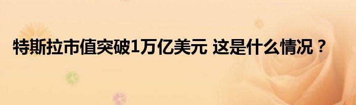 特斯拉市值突破1万亿美元 这是什么情况？