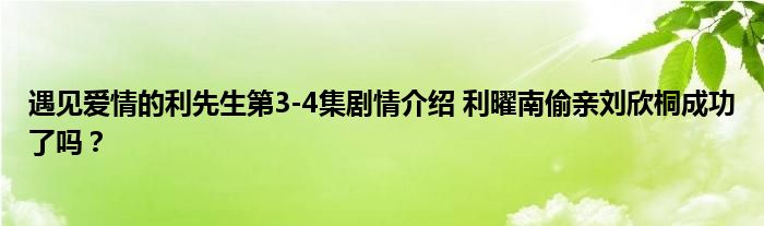 遇见爱情的利先生第3-4集剧情介绍 利曜南偷亲刘欣桐成功了吗？