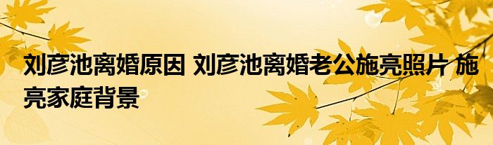 刘彦池离婚原因 刘彦池离婚老公施亮照片 施亮家庭背景