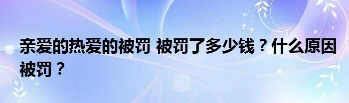 亲爱的热爱的被罚 被罚了多少钱？什么原因被罚？