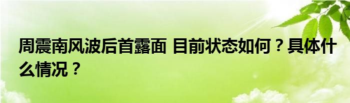 周震南风波后首露面 目前状态如何？具体什么情况？