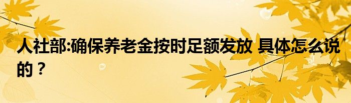 人社部:确保养老金按时足额发放 具体怎么说的？