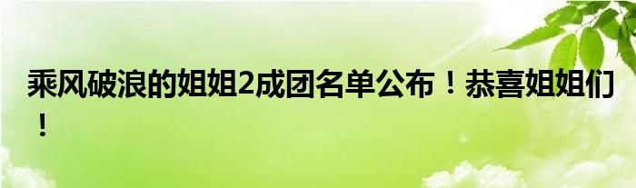 乘风破浪的姐姐2成团名单公布！恭喜姐姐们！