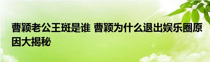 曹颖老公王斑是谁 曹颖为什么退出娱乐圈原因大揭秘