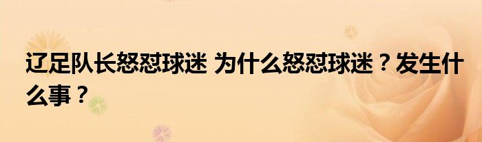 辽足队长怒怼球迷 为什么怒怼球迷？发生什么事？