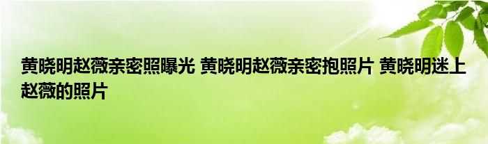 黄晓明赵薇亲密照曝光 黄晓明赵薇亲密抱照片 黄晓明迷上赵薇的照片