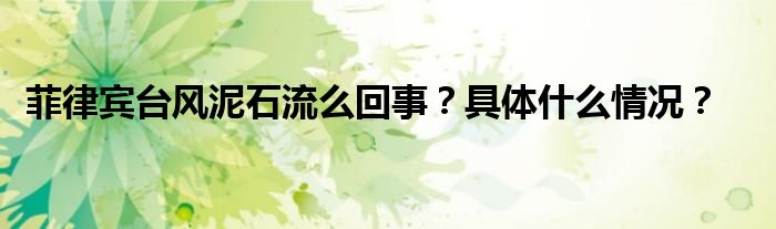 菲律宾台风泥石流么回事？具体什么情况？