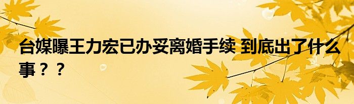 台媒曝王力宏已办妥离婚手续 到底出了什么事？？