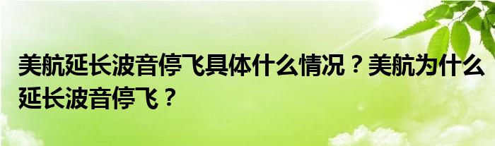 美航延长波音停飞具体什么情况？美航为什么延长波音停飞？