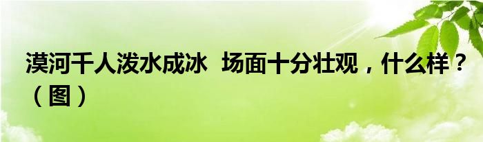 漠河千人泼水成冰  场面十分壮观，什么样？（图）