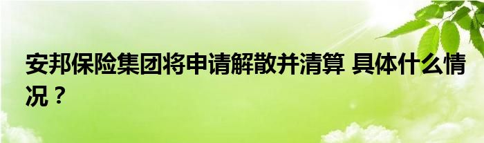 安邦保险集团将申请解散并清算 具体什么情况？