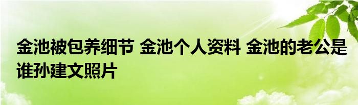 金池被包养细节 金池个人资料 金池的老公是谁孙建文照片