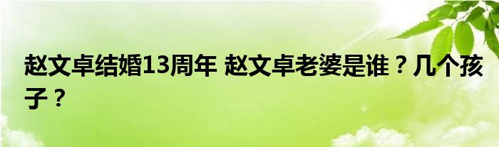 赵文卓结婚13周年 赵文卓老婆是谁？几个孩子？