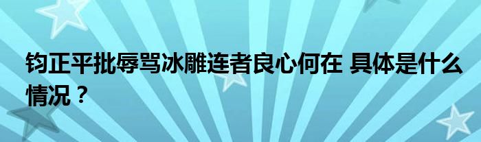 钧正平批辱骂冰雕连者良心何在 具体是什么情况？