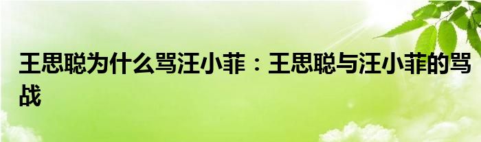 王思聪为什么骂汪小菲：王思聪与汪小菲的骂战