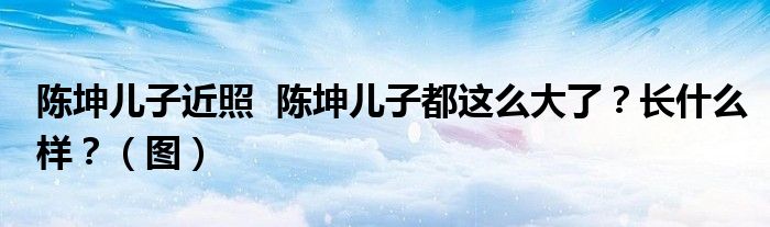 陈坤儿子近照  陈坤儿子都这么大了？长什么样？（图）