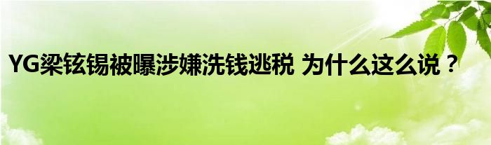 YG梁铉锡被曝涉嫌洗钱逃税 为什么这么说？