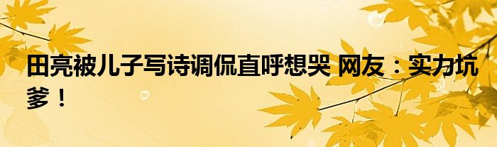 田亮被儿子写诗调侃直呼想哭 网友：实力坑爹！