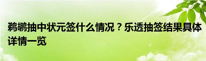 鹈鹕抽中状元签什么情况？乐透抽签结果具体详情一览