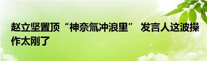 赵立坚置顶“神奈氚冲浪里” 发言人这波操作太刚了