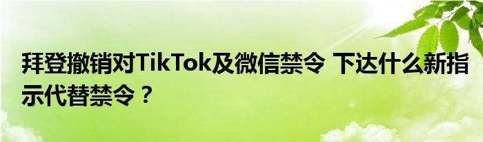 拜登撤销对TikTok及微信禁令 下达什么新指示代替禁令？