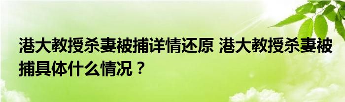 港大教授杀妻被捕详情还原 港大教授杀妻被捕具体什么情况？