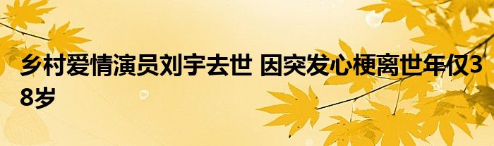 乡村爱情演员刘宇去世 因突发心梗离世年仅38岁