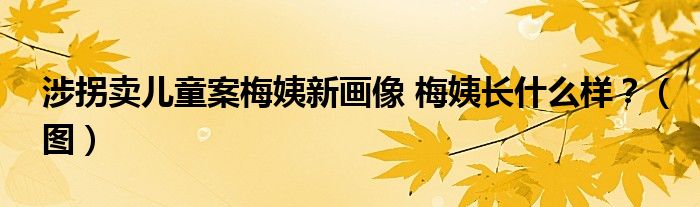 涉拐卖儿童案梅姨新画像 梅姨长什么样？（图）