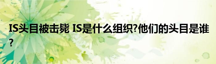 IS头目被击毙 IS是什么组织?他们的头目是谁?