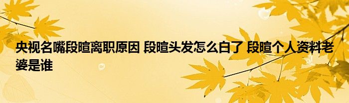 央视名嘴段暄离职原因 段暄头发怎么白了 段暄个人资料老婆是谁