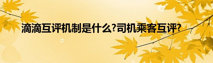 滴滴互评机制是什么?司机乘客互评?