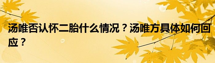 汤唯否认怀二胎什么情况？汤唯方具体如何回应？