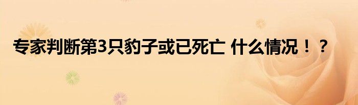 专家判断第3只豹子或已死亡 什么情况！？