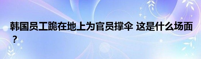 韩国员工跪在地上为官员撑伞 这是什么场面？