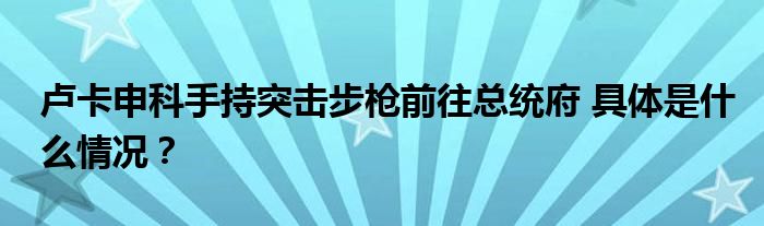 卢卡申科手持突击步枪前往总统府 具体是什么情况？