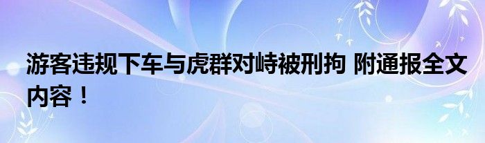 游客违规下车与虎群对峙被刑拘 附通报全文内容！