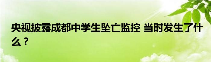 央视披露成都中学生坠亡监控 当时发生了什么？