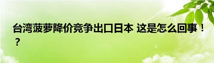 台湾菠萝降价竞争出口日本 这是怎么回事！？