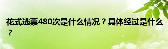 花式逃票480次是什么情况？具体经过是什么？