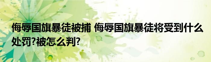 侮辱国旗暴徒被捕 侮辱国旗暴徒将受到什么处罚?被怎么判?