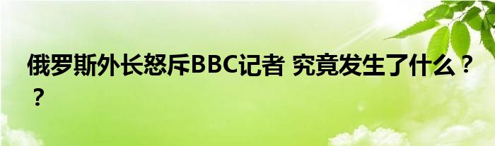 俄罗斯外长怒斥BBC记者 究竟发生了什么？？