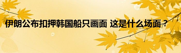 伊朗公布扣押韩国船只画面 这是什么场面？