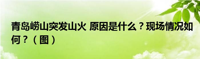 青岛崂山突发山火 原因是什么？现场情况如何？（图）