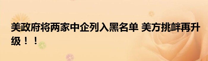 美政府将两家中企列入黑名单 美方挑衅再升级！！