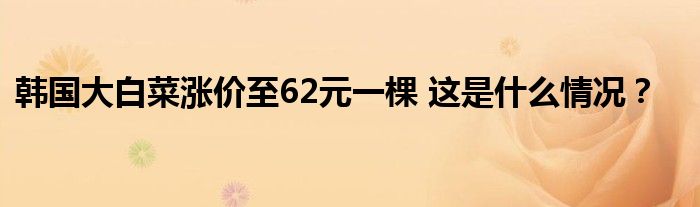 韩国大白菜涨价至62元一棵 这是什么情况？