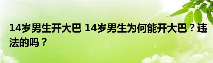 14岁男生开大巴 14岁男生为何能开大巴？违法的吗？