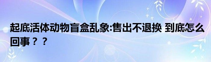 起底活体动物盲盒乱象:售出不退换 到底怎么回事？？