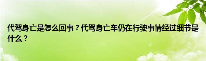 代驾身亡是怎么回事？代驾身亡车仍在行驶事情经过细节是什么？